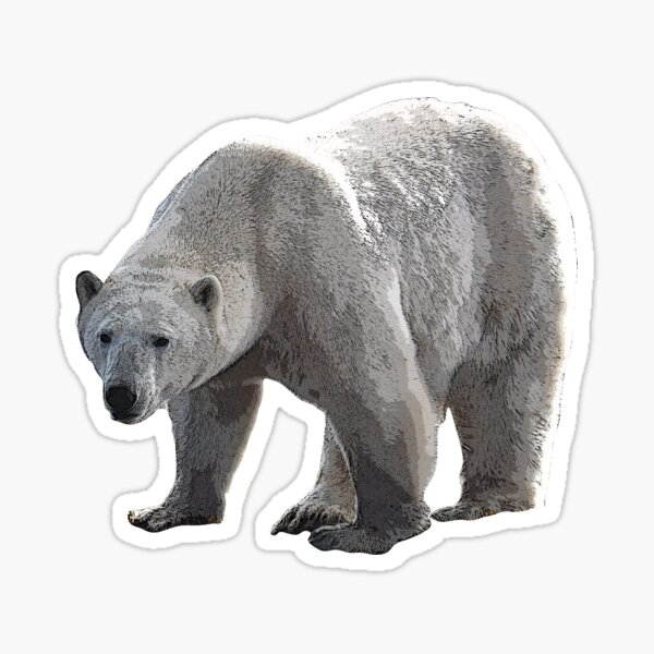 Polar Bear Art - Polar Bear - Sticker