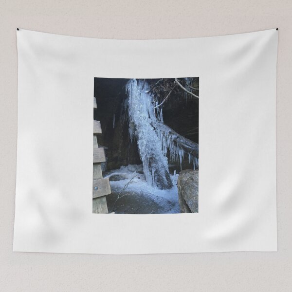 Item preview, Icy Tree Branch Photograph designed and sold by sgrimmett11.