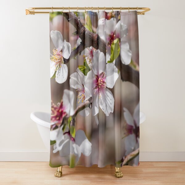 Fresh Almond Flowers - White Flowers on Peachy Background Shower Curtain