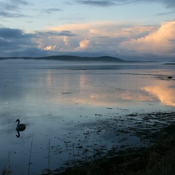 Artwork thumbnail, Serenity by Fiona MacNab