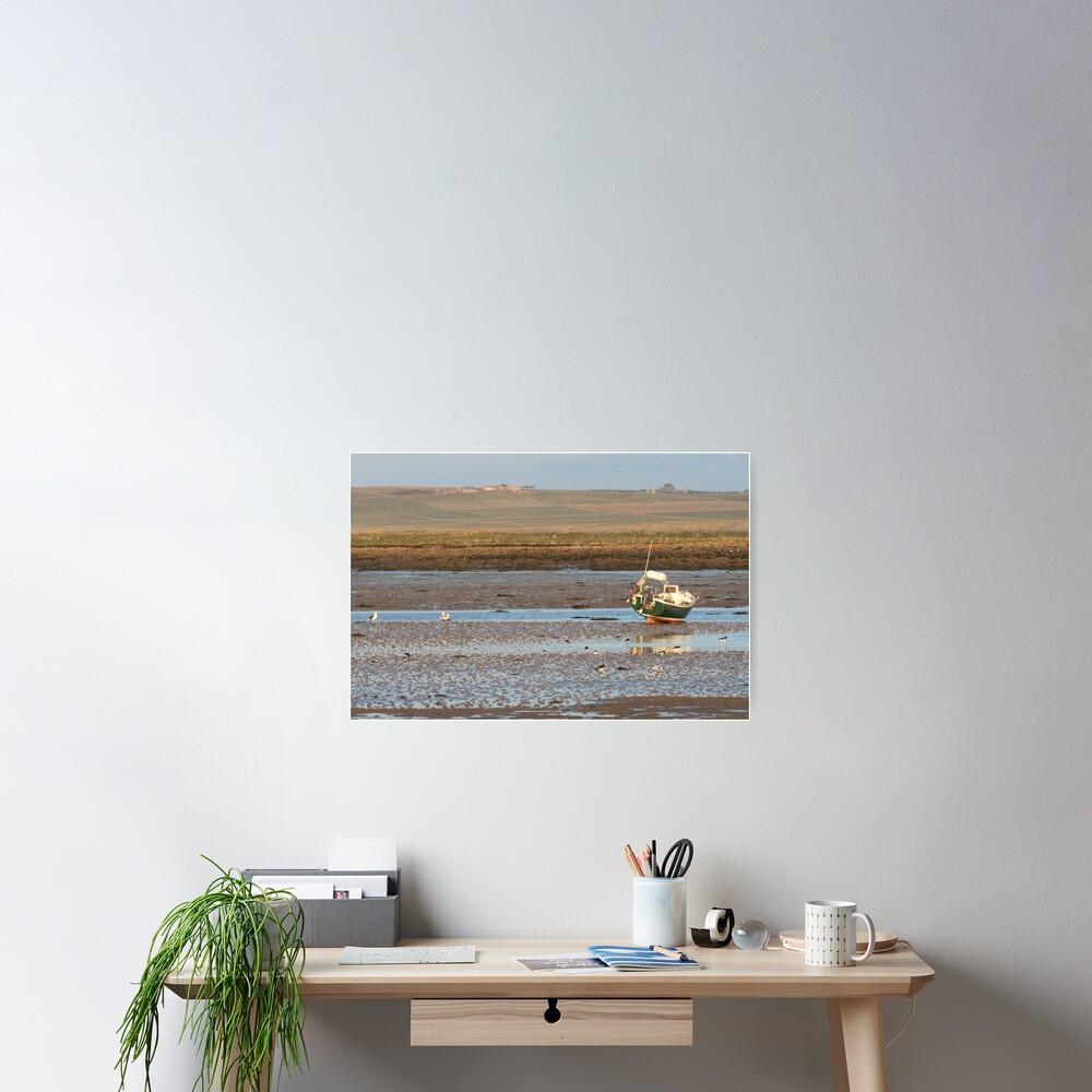Low tide Poster