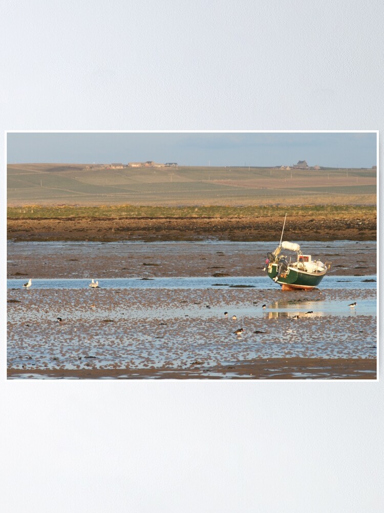 Alternate view of Low tide Poster
