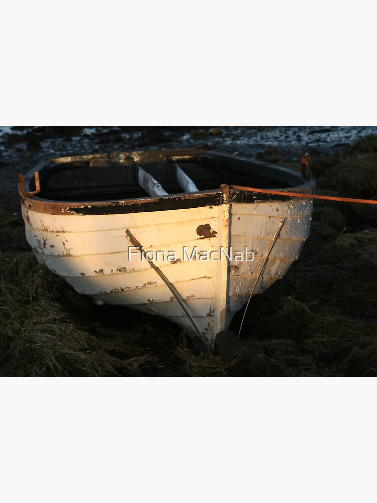 Boat by orcadia