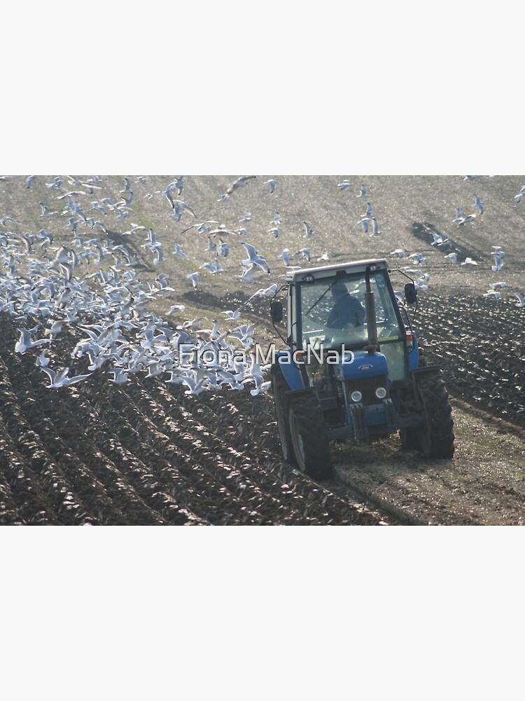 Ploughing Match by orcadia