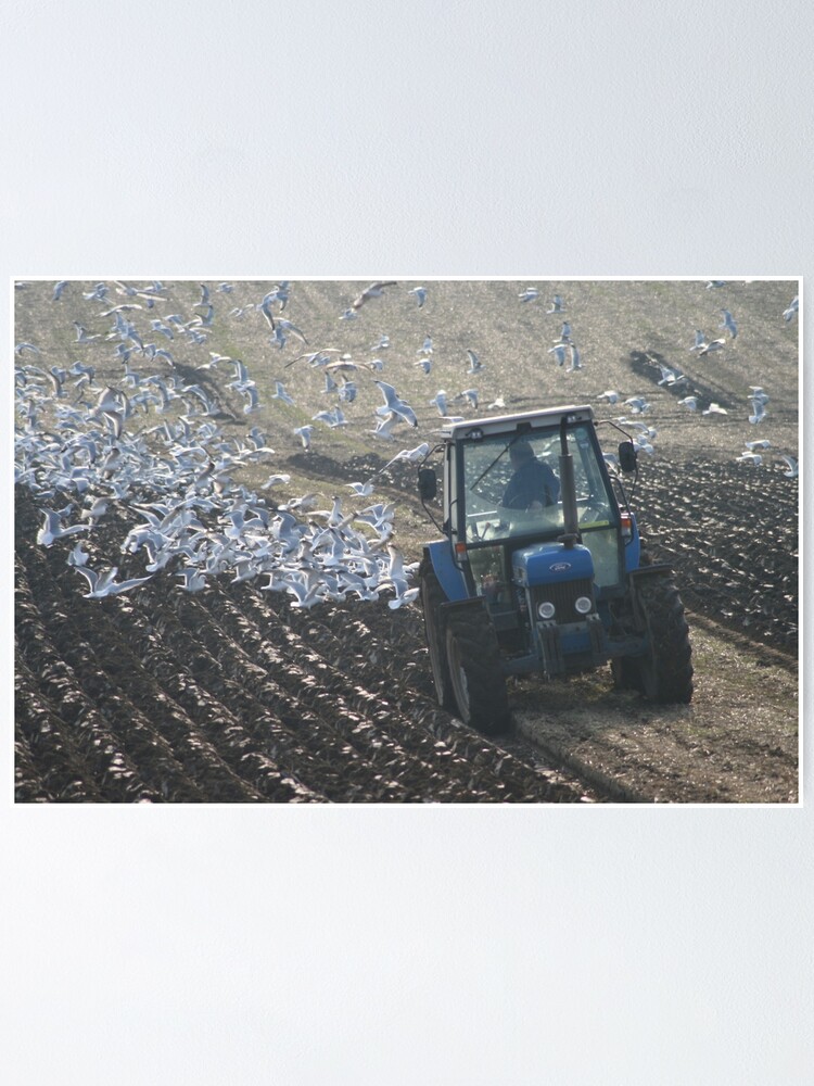 Alternate view of Ploughing Match Poster