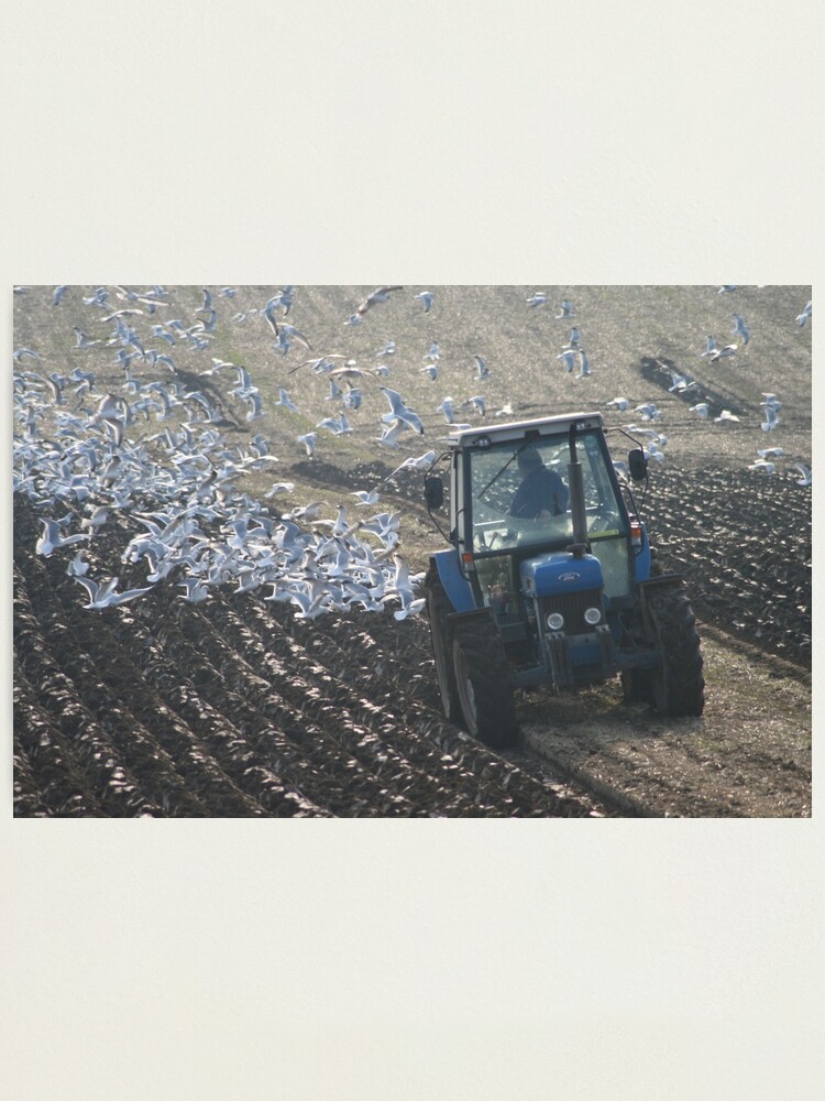 Alternate view of Ploughing Match Photographic Print