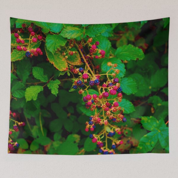 Item preview, Nature and blackberry designed and sold by Sofian1983.
