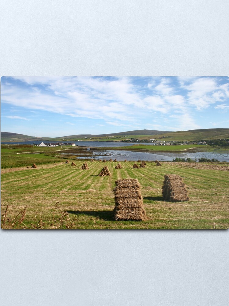 Alternate view of Harvest Metal Print