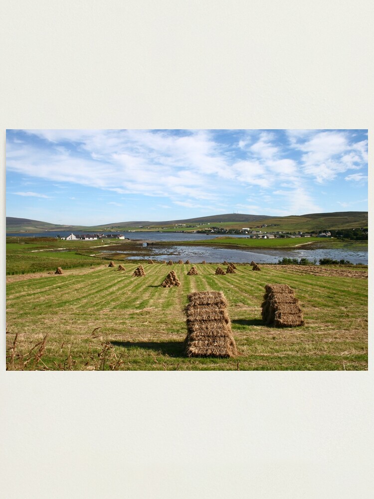 Alternate view of Harvest Photographic Print
