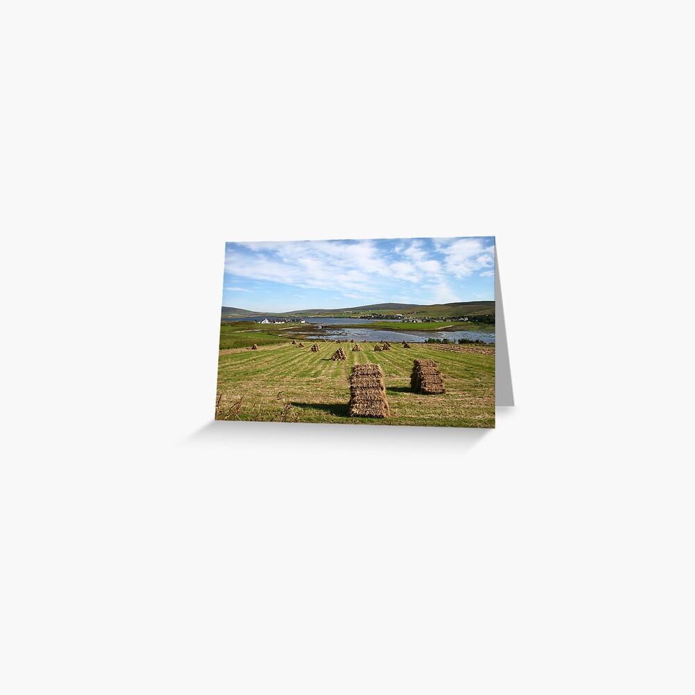 Harvest Greeting Card