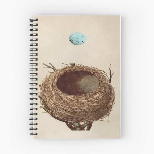 Item preview, Antique Birds Nest & Egg Print / Classic! designed and sold by FuzzyHoney.