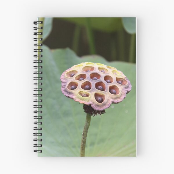 Item preview, Down In The Lotus Pond designed and sold by coffeebean.