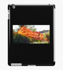 Autumn Leaf............Lyme Dorset.UK iPad Case/Skin