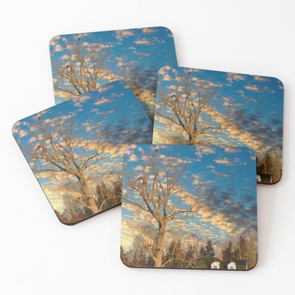 Item preview, Bald Eagle in a Tree P.E.I. designed and sold by Richard W J Conyard.