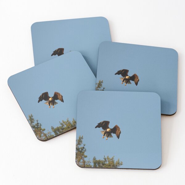 Item preview, Bald eagle in flight designed and sold by locustgirl.