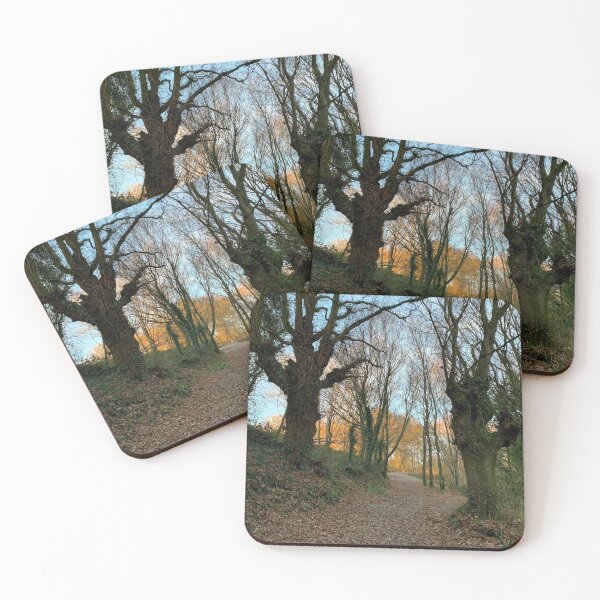Item preview, Camino de santiago designed and sold by nilesite.