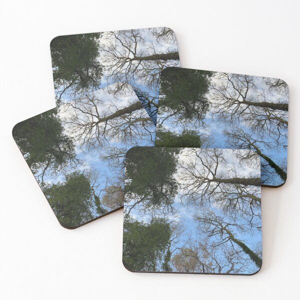 Item preview, Camino de santiago designed and sold by nilesite.