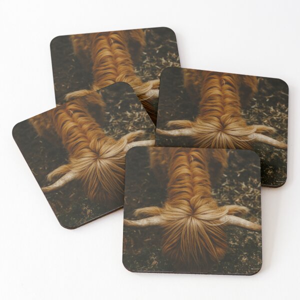 Item preview, Scottish highlands cow  designed and sold by Kelsey McKay.