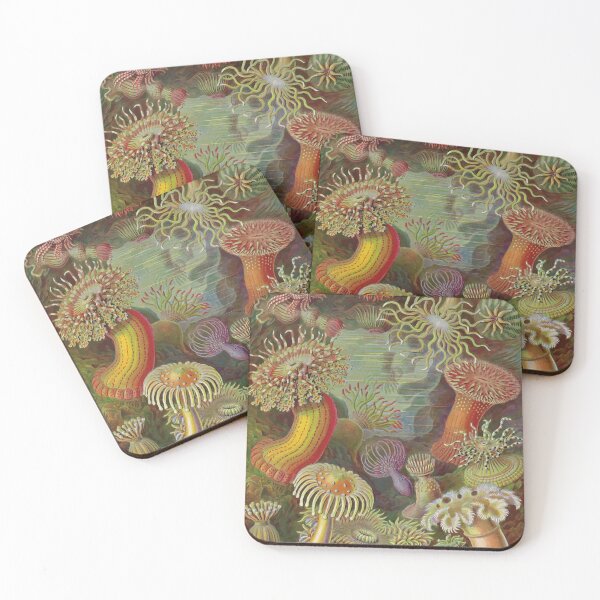 Item preview, Heliactis Ernst Haeckel Art Forms in Nature designed and sold by digitalvintage.