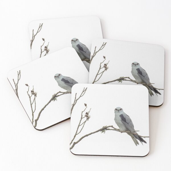 Item preview, Black Shoulder Kite designed and sold by CathsImages.