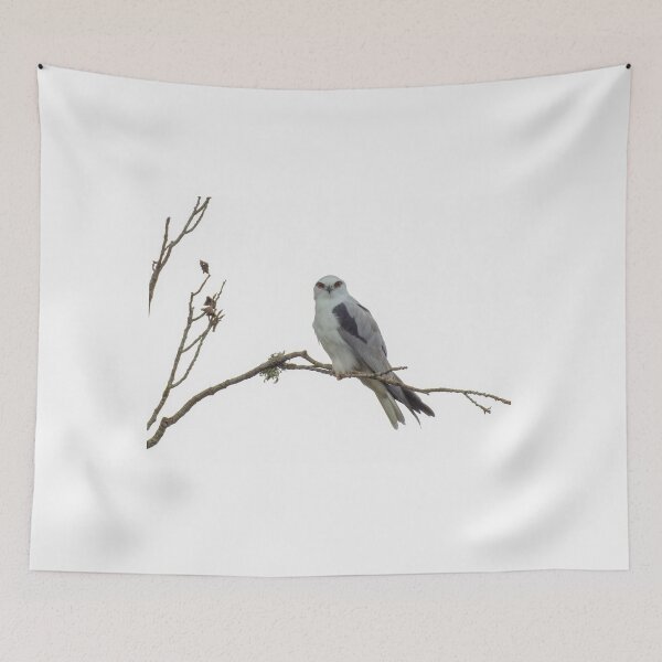 Item preview, Black Shoulder Kite designed and sold by CathsImages.