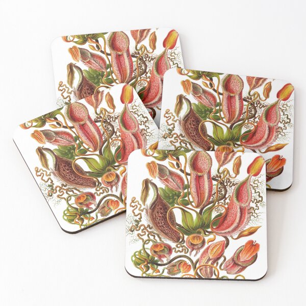 Item preview, Nepenthes Tropical Pitcher Plants Monkey Cups Ernst Haeckel Art Forms in Nature designed and sold by digitalvintage.