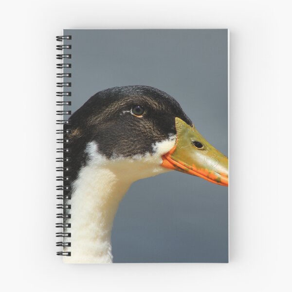 Item preview, Face of a Duck designed and sold by rhamm.