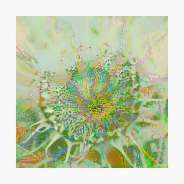 Floral abstraction Photographic Print