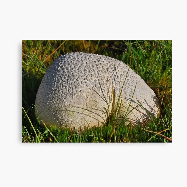 Item preview, Beautiful Nature designed and sold by relayer51.