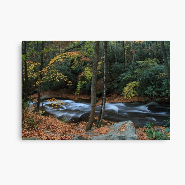 Still Canvas Print
