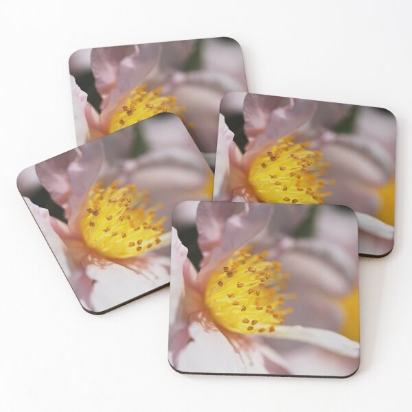 Item preview, Camellia Baby Pink designed and sold by Joy Watson - Natural Light Photography .