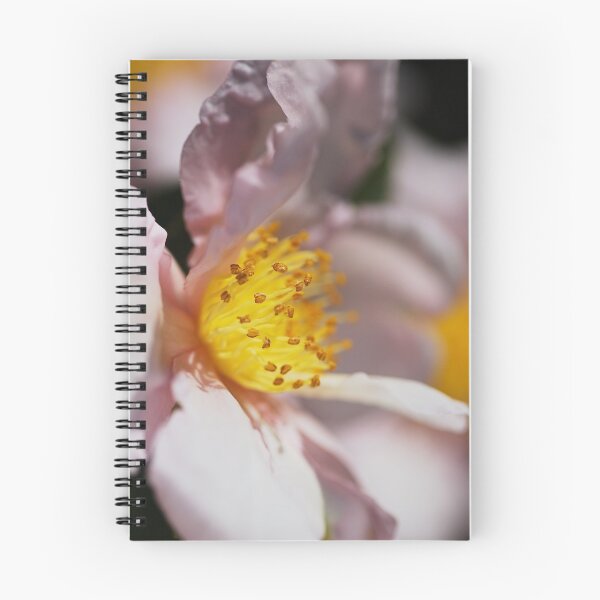 Item preview, Camellia Baby Pink designed and sold by Joy Watson - Natural Light Photography .