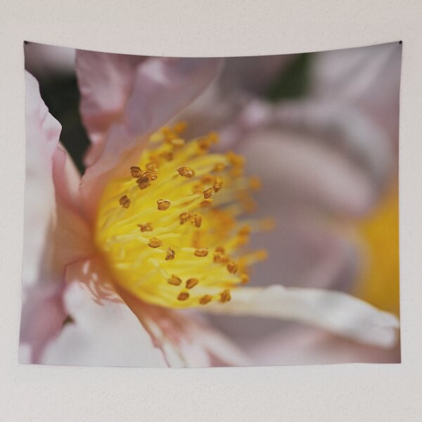 Item preview, Camellia Baby Pink designed and sold by Joy Watson - Natural Light Photography .