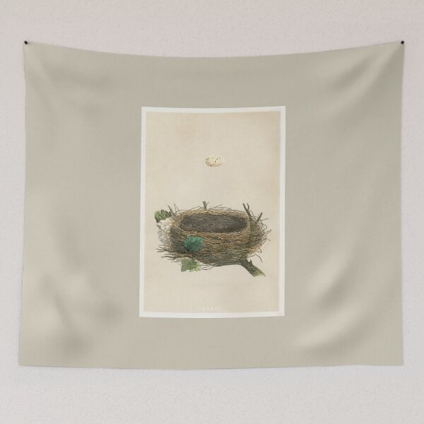 Item preview, Antique Bird's Nest and Egg Print / Classic Decor designed and sold by FuzzyHoney.
