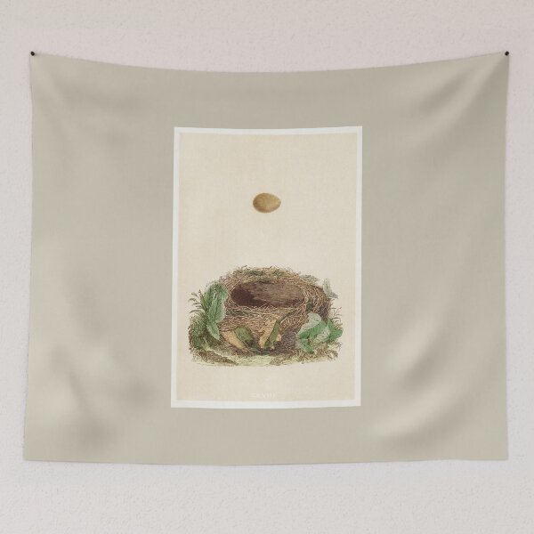 Item preview, Antique Bird's Nest and Egg Print / Classic Decor designed and sold by FuzzyHoney.