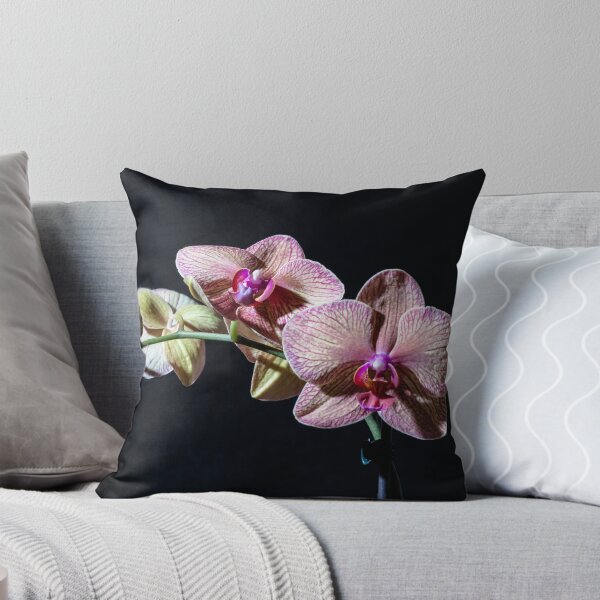 Item preview, Orchids 1 designed and sold by colinstock.