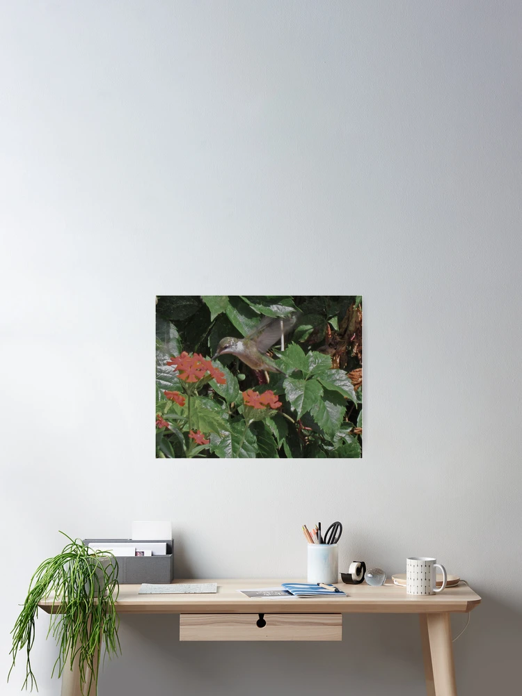 Thumbnail 2 of 3, Poster, Humming Along designed and sold by Ravred.