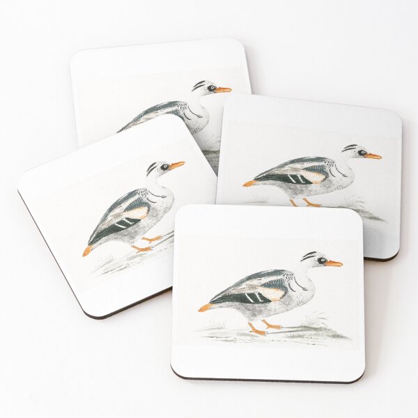 Item preview, vintage bird illustration artwork designed and sold by Vintage Designs +.