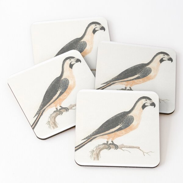 Item preview, vintage bird illustration artwork designed and sold by Vintage Designs +.