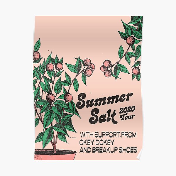 Sixsum Summer Salt American Tour 2020 Poster
