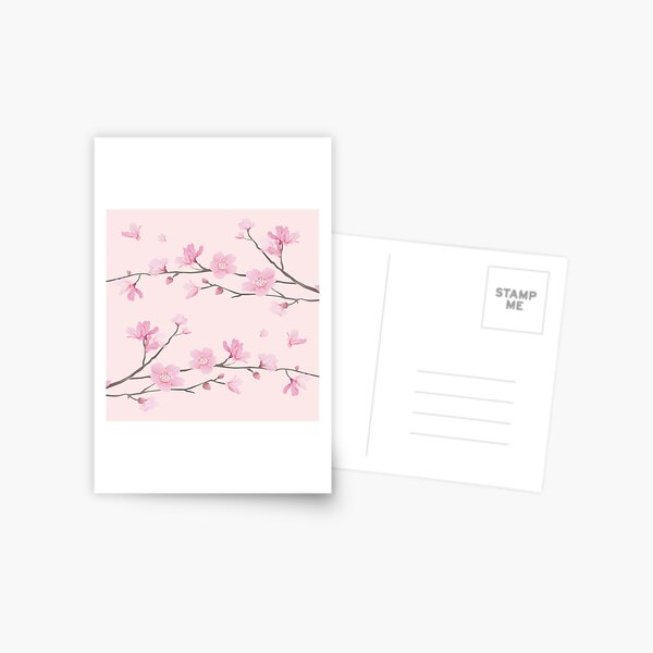 Cherry Blossom - Pink Postcard