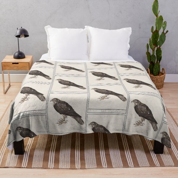 Aperçu de l'œuvre Illustration d'oiseau vintage de faucon créée et vendue par Vintage Designs +.