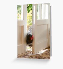 free range pet chicken walking into kitchen Greeting Card