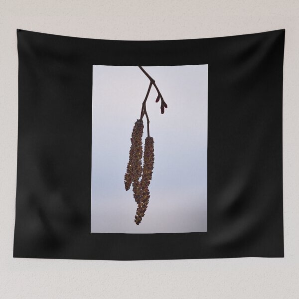 Item preview, Grey alder 4 designed and sold by Jouko Lehto Photography.