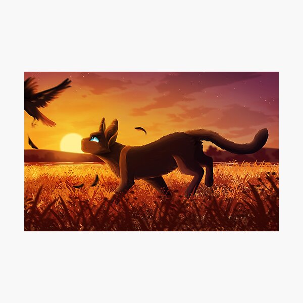 Crowfeather Of WindClan Photographic Print