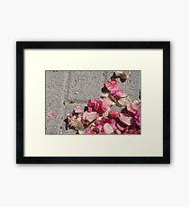 gathering of bougainville Framed Print