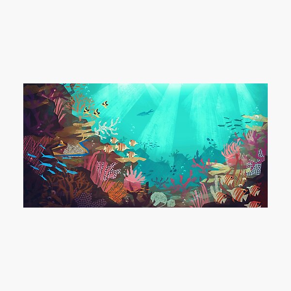 Coral Reef Photographic Print