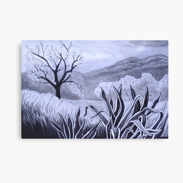 Agave (Pita) and blossoming Almond Tree in Ibiza Canvas Print