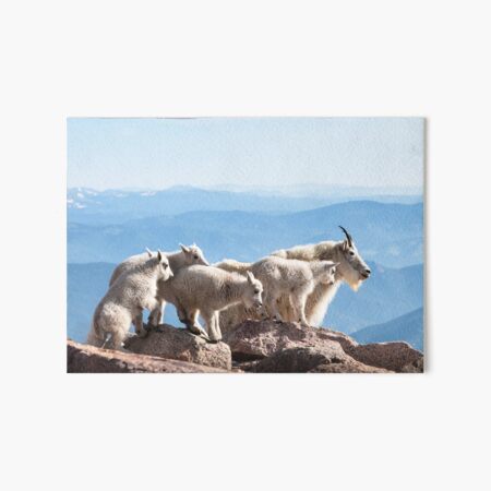 Follow The Leader Art Board Print