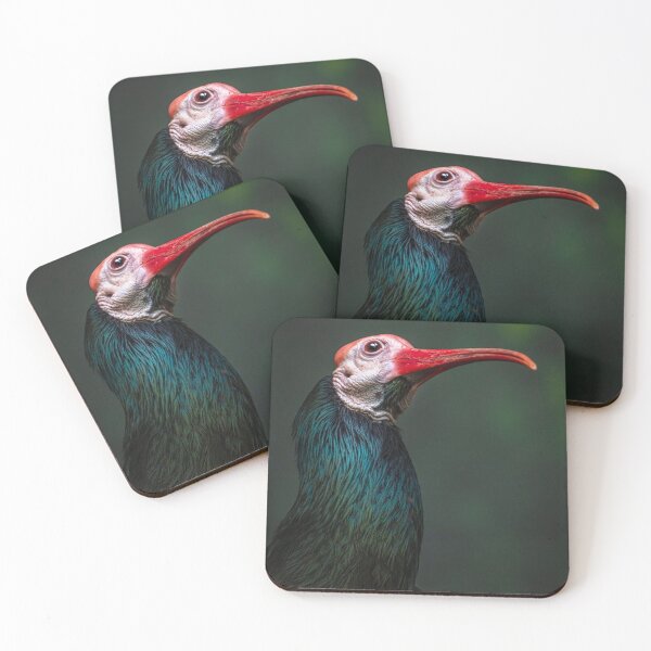 Artikelvorschau, Northern Bald Ibis entworfen und verkauft von alan shapiro.